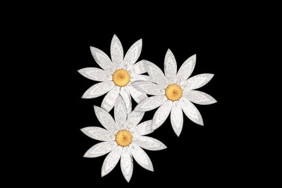 Elegant Daisy Flowers: A Charming Addition